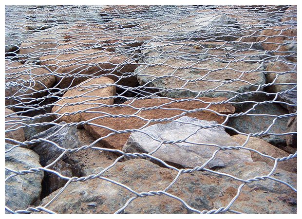 品牌實力,10余年耕耘 · 實力深厚 品牌實力,多年耕耘 · 實力深厚